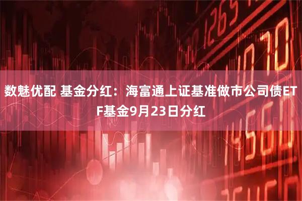 数魅优配 基金分红：海富通上证基准做市公司债ETF基金9月23日分红