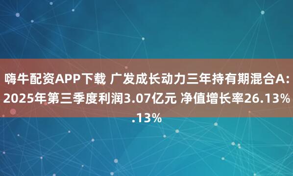 嗨牛配资APP下载 广发成长动力三年持有期混合A：2025年第三季度利润3.07亿元 净值增长率26.13%