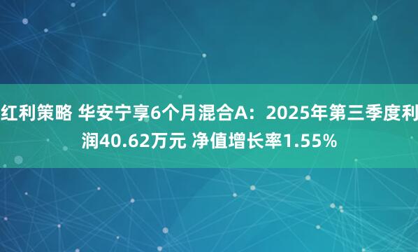 红利策略 华安宁享6个月混合A：2025年第三季度利润40.62万元 净值增长率1.55%