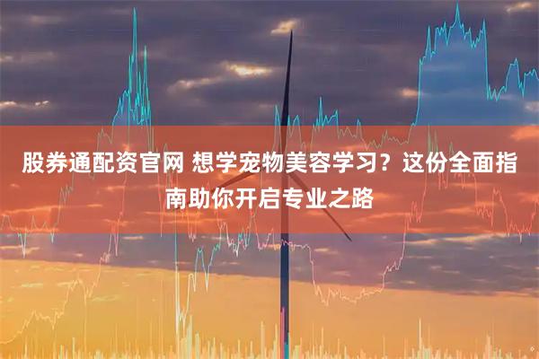 股券通配资官网 想学宠物美容学习？这份全面指南助你开启专业之路